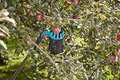 GARDENA Combisystem fruktplukker m/skaft